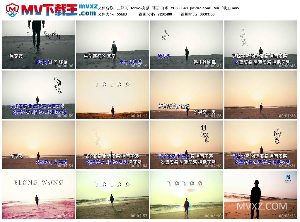 王绎龙_Totoo-实感_国语_合唱_YE500648